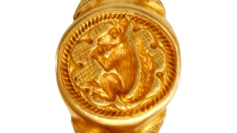 Squirrel ring