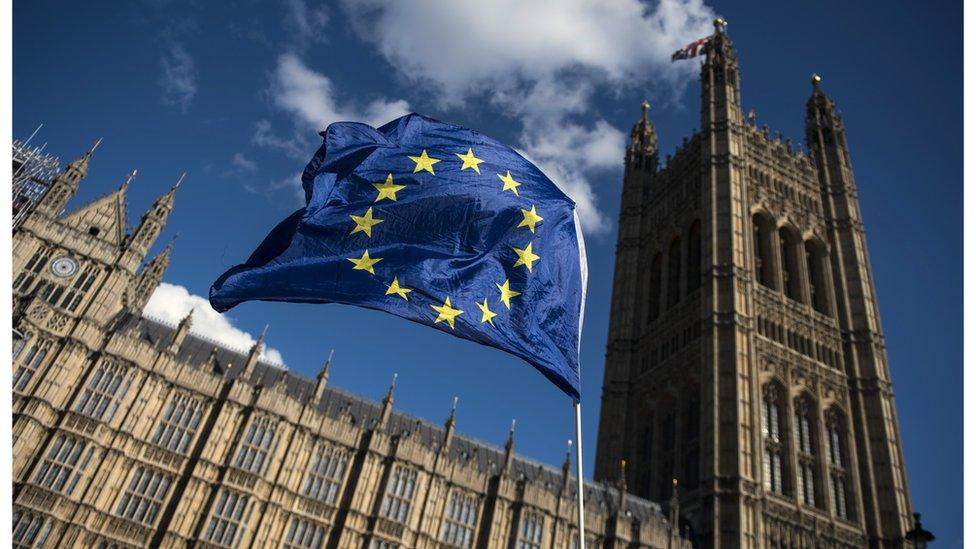 EU flag and parliament