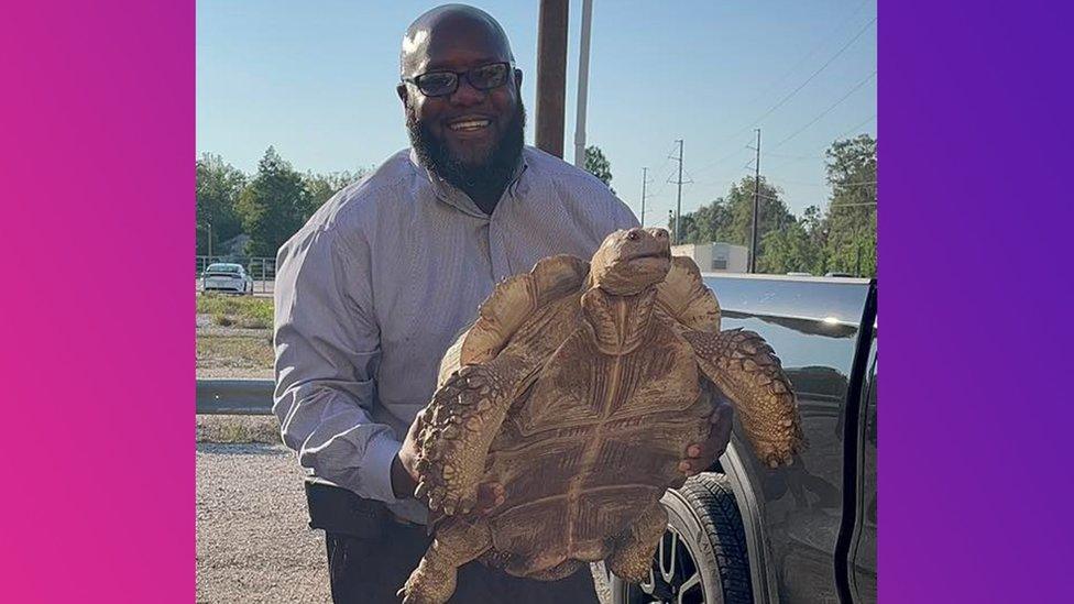 Biscuit the tortoise and his owner