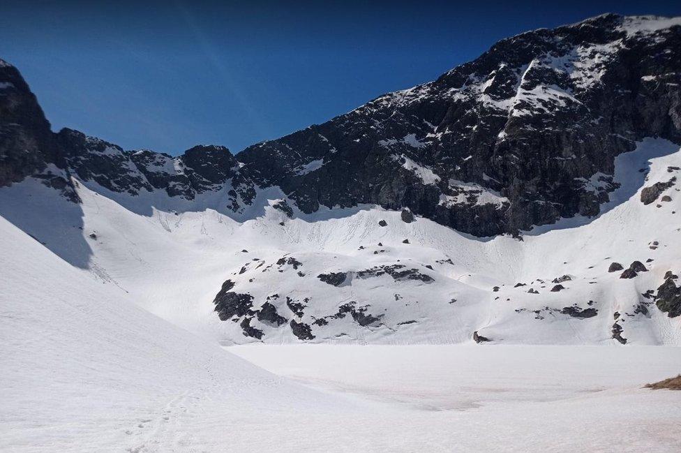 Snow on the mountain