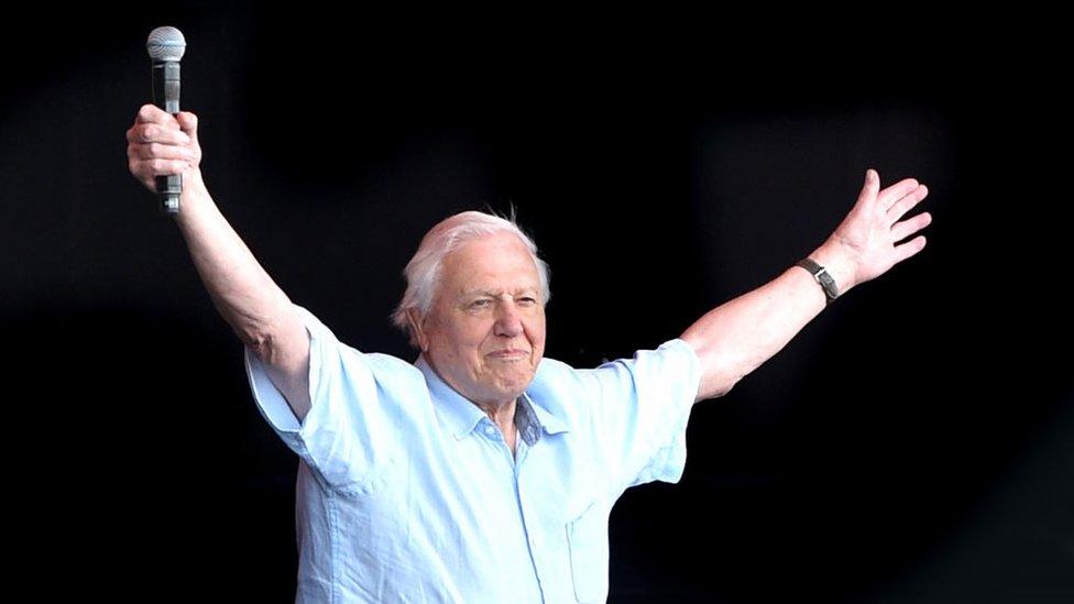 David-Attenborough.