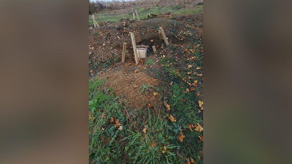 Mobile phone image of two low mounds of grassy earth, which have mesh over them and in the centre of one is a small wooden door.