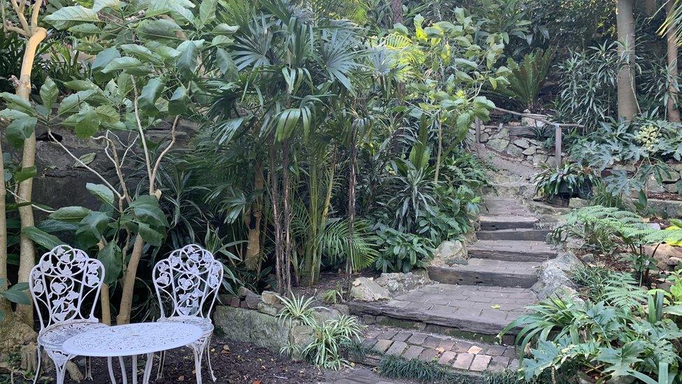 Two white chairs and a table in a garden with some steps and many plants