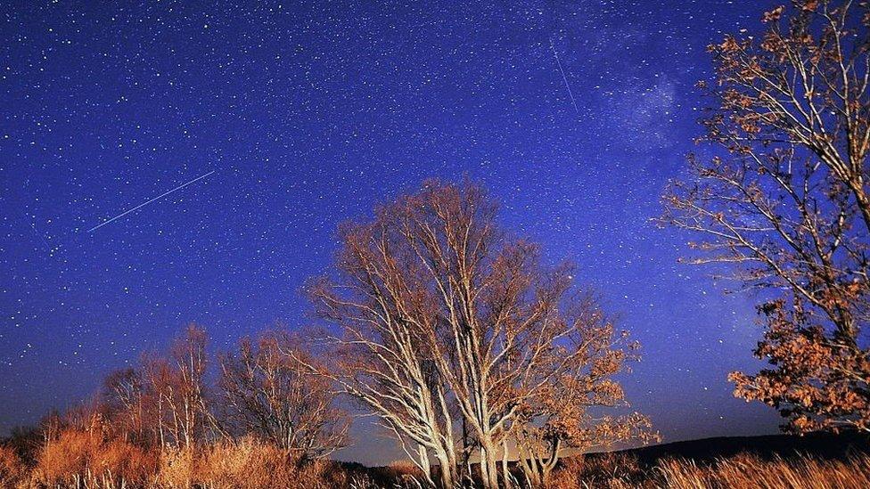 Streaks of white lights shoot through a dark blue sky. Trees below are lit up.