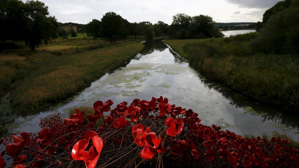 Poppies at Yorkshire Sculpture Park