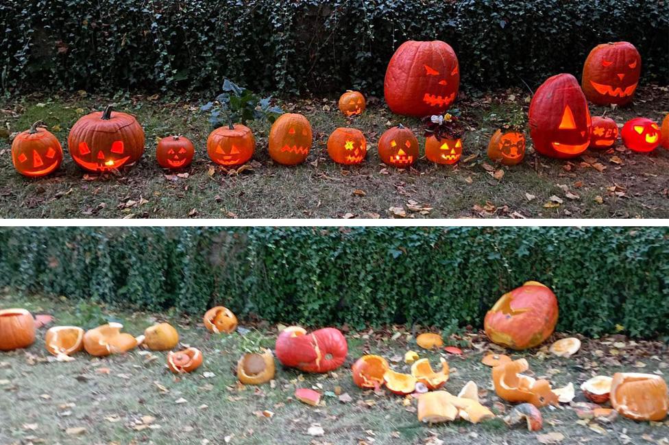 Pumpkins in Kurdejov