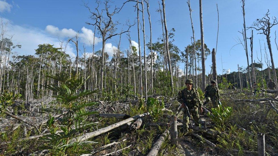 Colombian soldiers take part in an operation against illegal mining at an illegal gold mine in the Puinawai National Nature Reserve, department of Guainia, Colombia