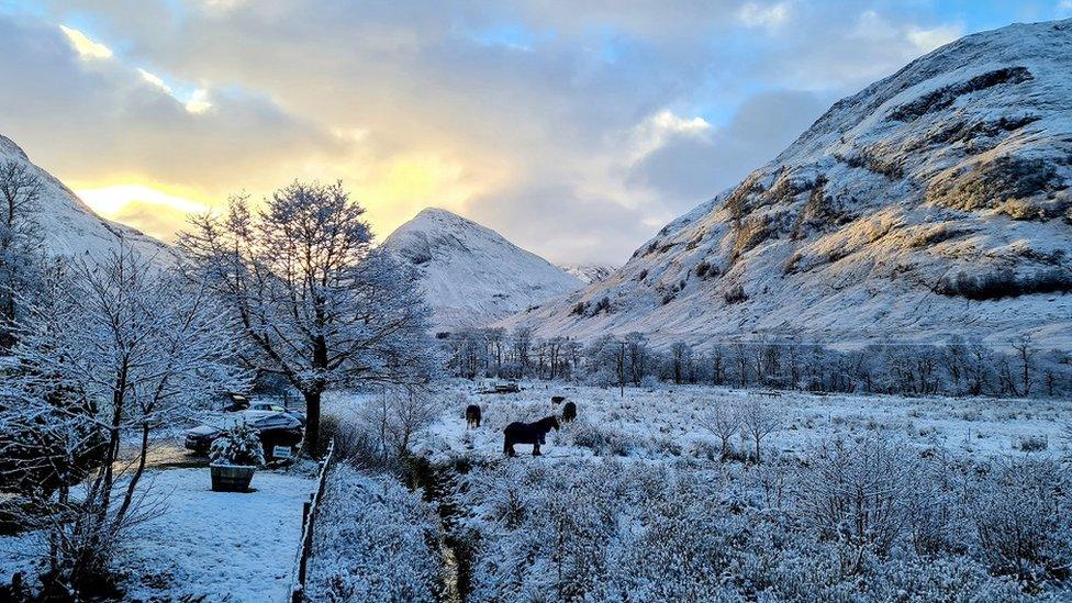 Glencoe