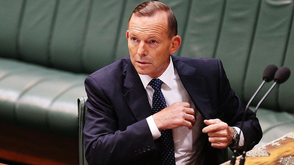 Australian Prime Minister Tony Abbott during House of Representatives question time May 12, 2015 in Canberra, Australia.