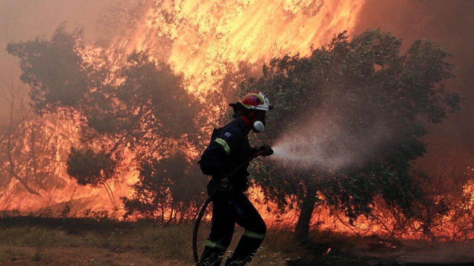 Forest fire in Greece