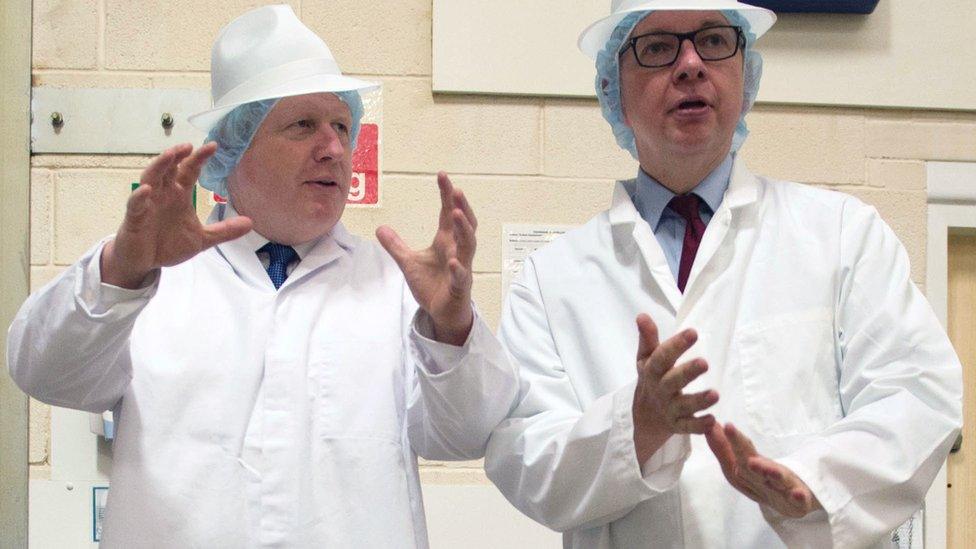 Boris Johnson and Michael Gove