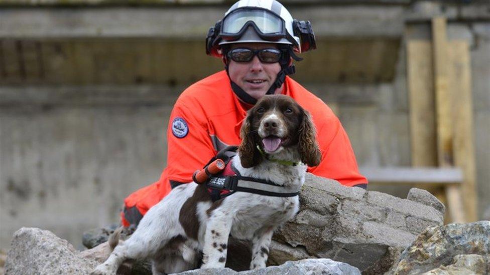 A firefighter wearing a helmet with a rescue dog.