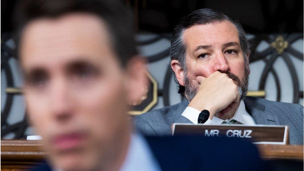 Josh Hawley (left) and Ted Cruz both seem to be eyeing the presidency