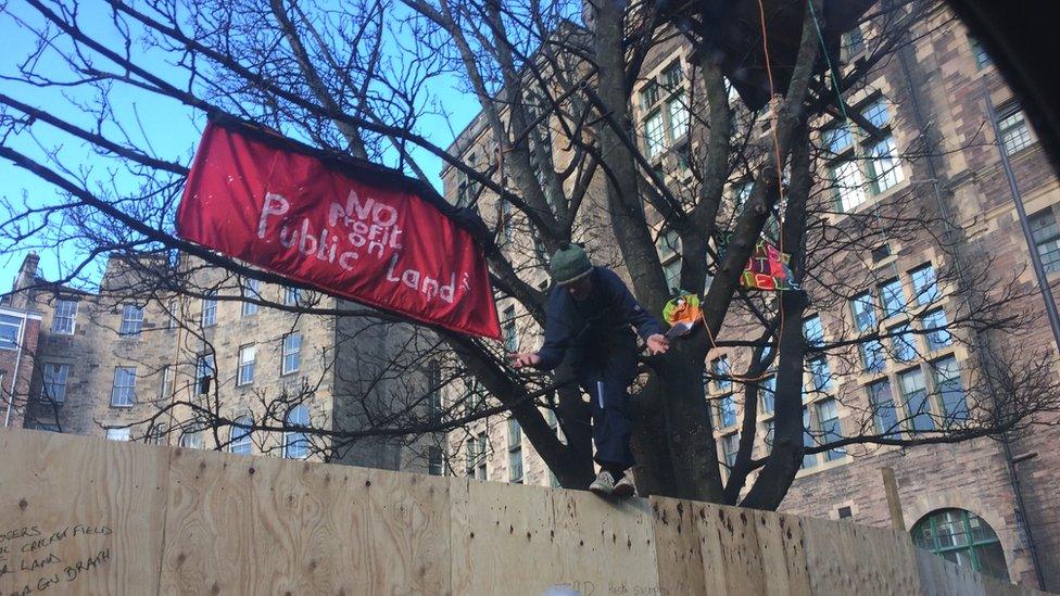 Tree protest