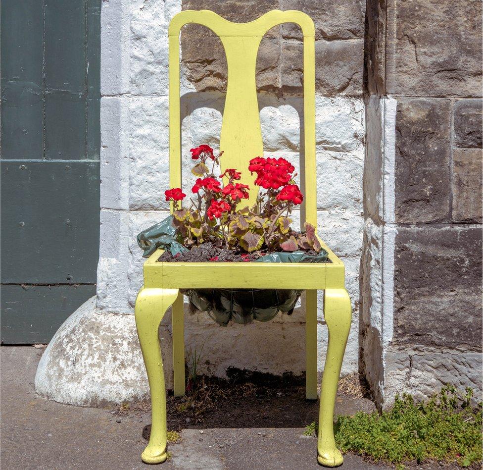 A chair with a bunch of flowers growing out of it, Northumberland, UK