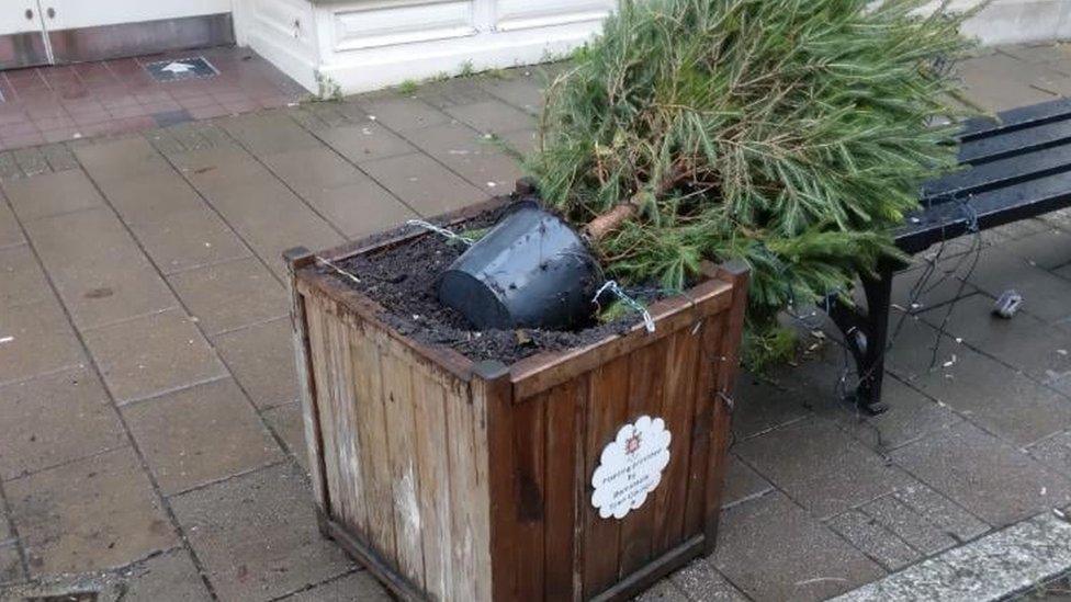 Christmas tree Barnstaple