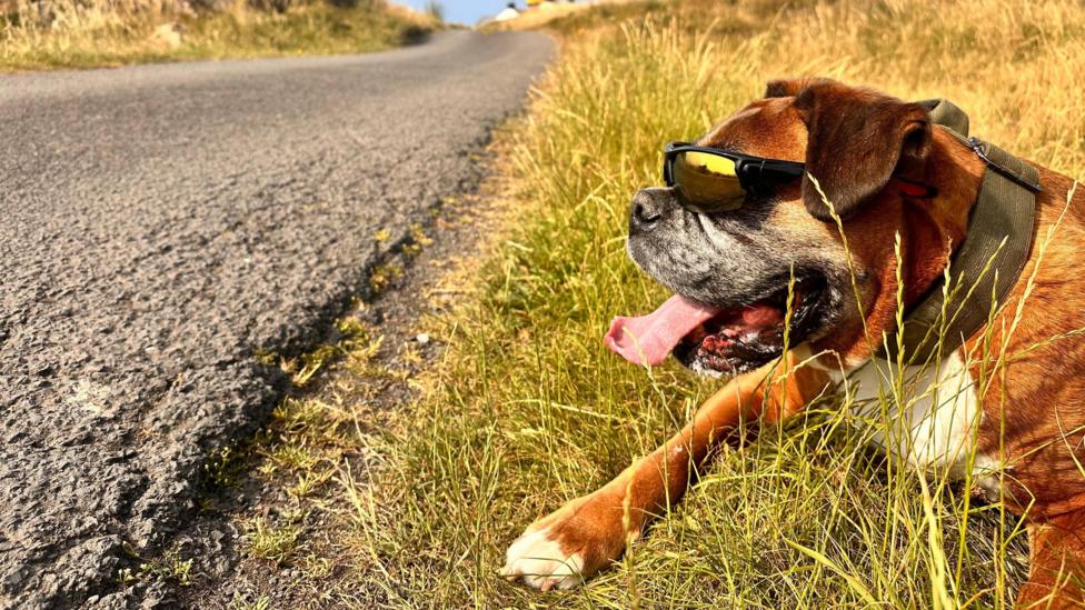 Heatwave conditions in NI for second time this summer