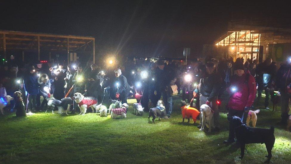 A group of owners and dogs before the guided walk