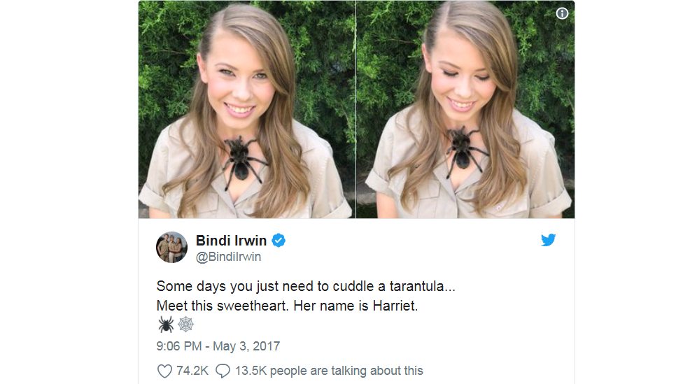 Bindi Irwin tweet