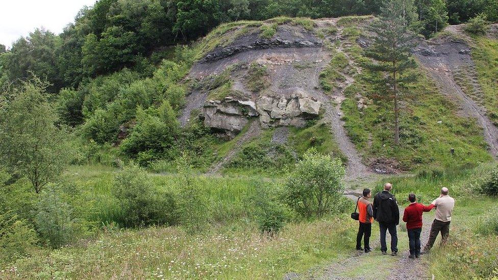 Saltwells Nature Reserve