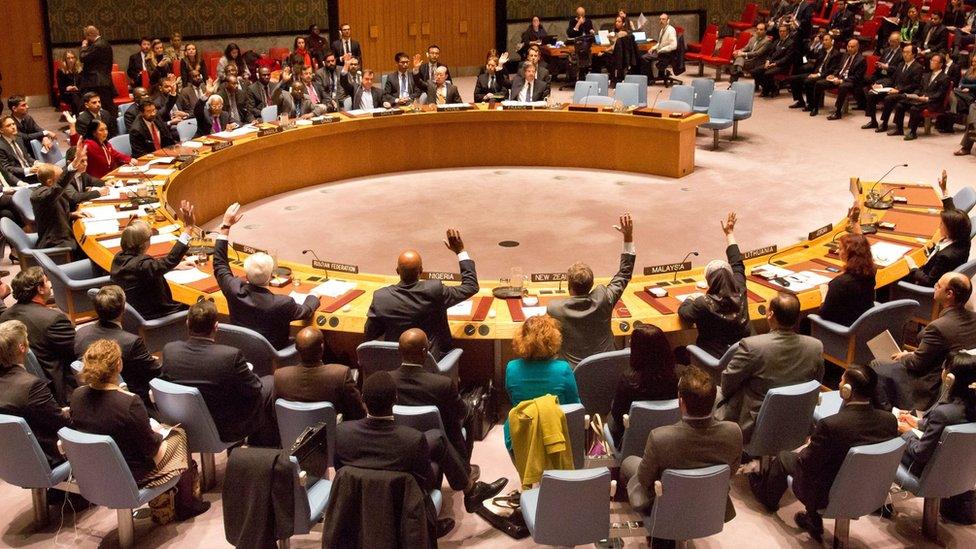 UN Security Council