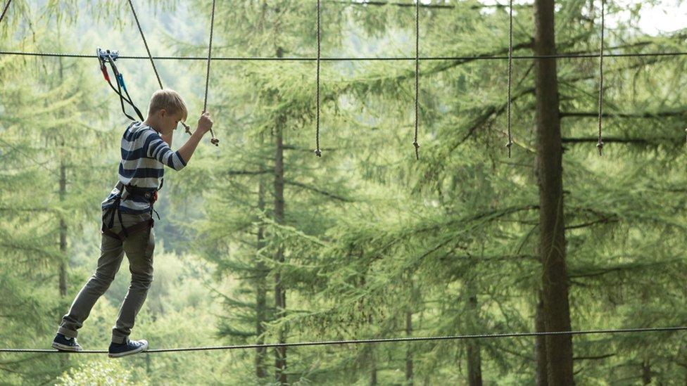 A boy making his way across a Go Ape obstacle