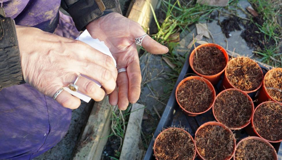 Rachel planting seeds