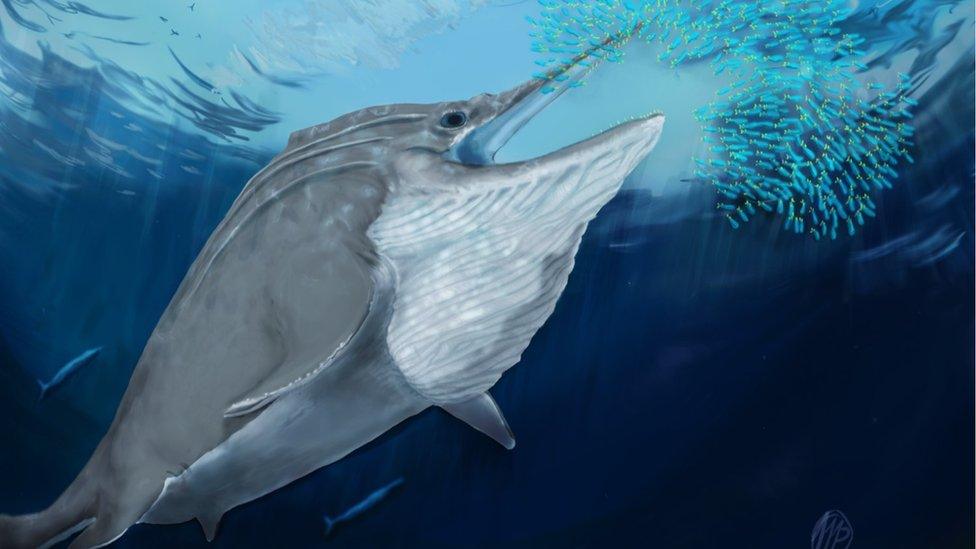 Ichthyosaur