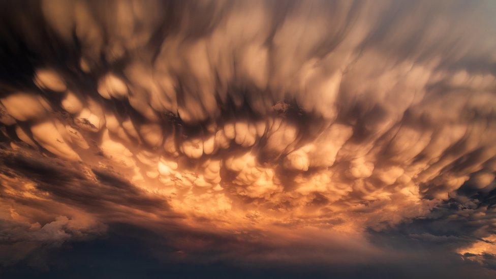 Mammatus clouds