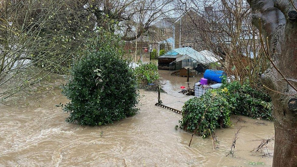 A photo of a flooded garden