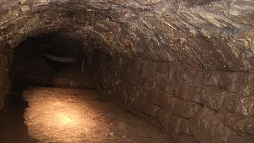 One of the tunnels