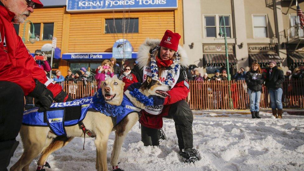 Musher Aliy Zirkle waits with her lead dogs at the start of the Iditarod Trail Sled Dog Race in Anchorage. 5 March 2016