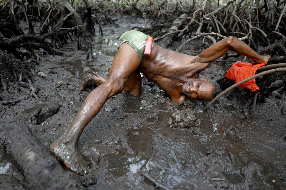 Fisherman Jose da Cruz reaching into mud to catch crabs