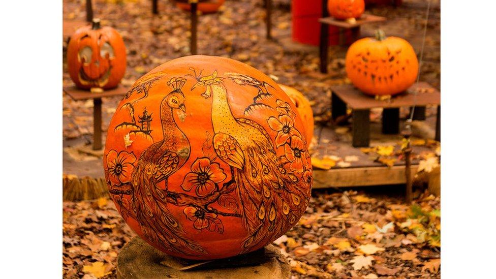 Two peacocks sitting on a branch adorned with flowers carved into an orange pumpkin.