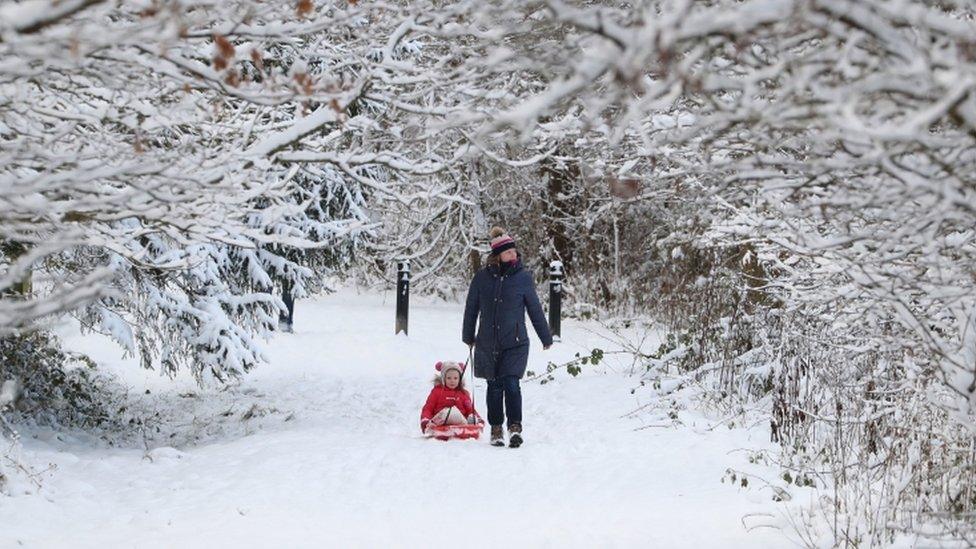 A woman tows a child on a sledge through a snow-covered wood at Larbert, near Falkirk in Scotland