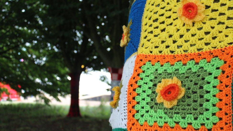 Y coed yn eu cotiau amryliw // A yarn bombing display brings colour to a shady glade