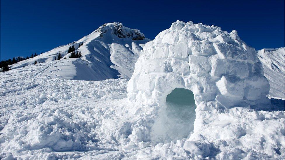 igloo.