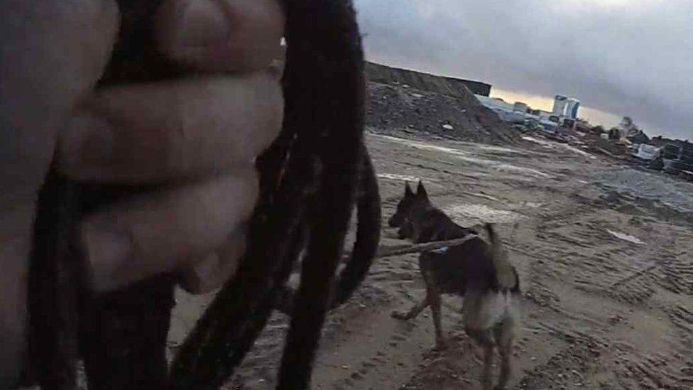 Bodycam footage shows a police dog at work