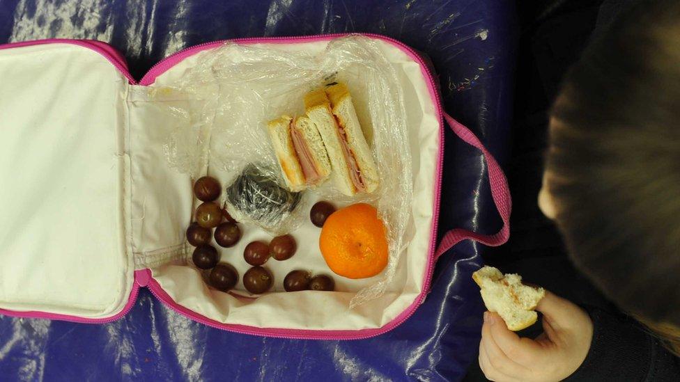 Child eating packed lunch