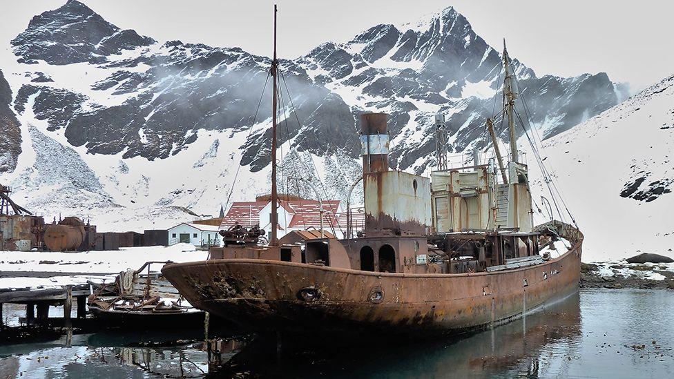 The Viola in South Georgia the hull and superstructure is covered in rust. In the background are huts and rusting machinery surrounded by snow.