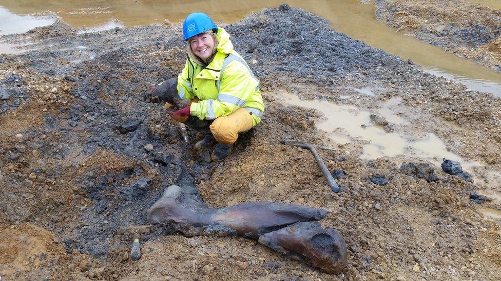 Fossil hunter Sally Hollingworth