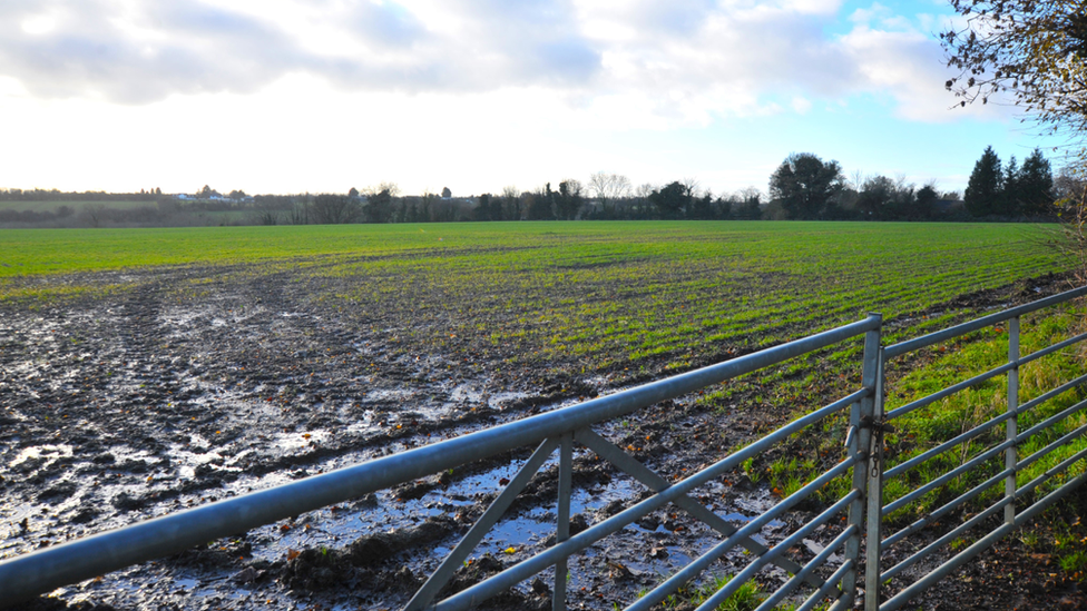 Muddy field