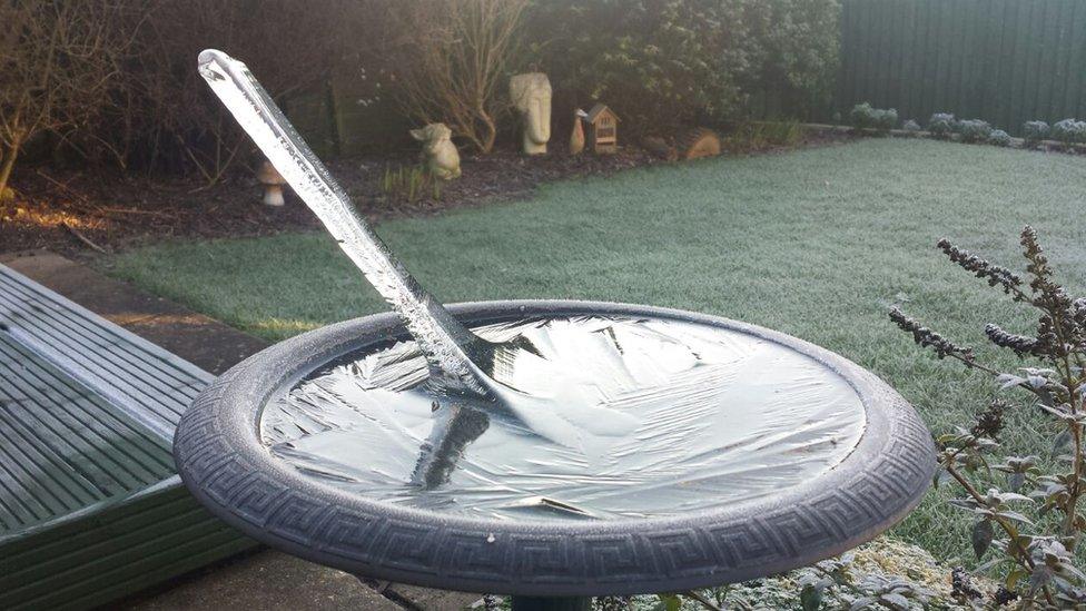 Picture of an Ice spike in a garden birdbath in Dorset