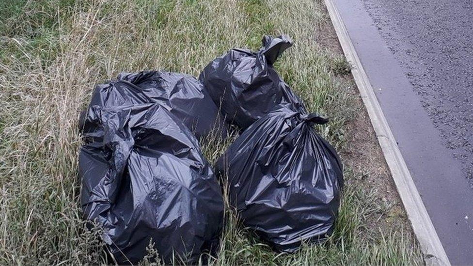 Bgs of litter at the roadside