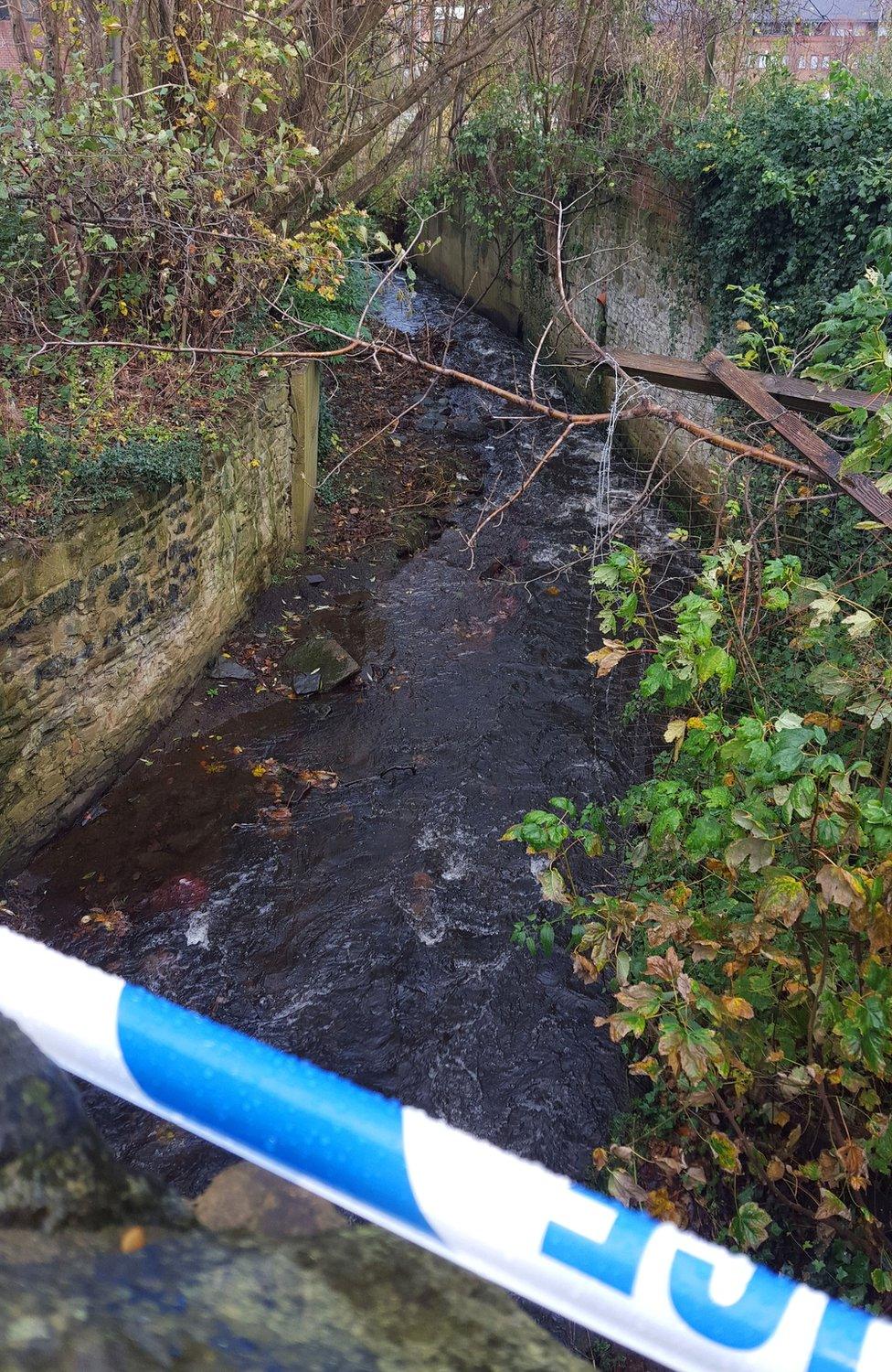 Porter Brook, Sheffield