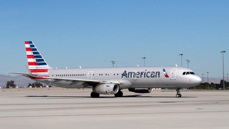 American Airlines plane (file picture)