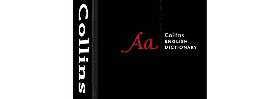 Collins Dictionary