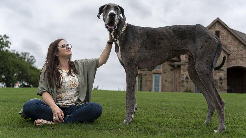 woman-with-her-dog-Zeus.