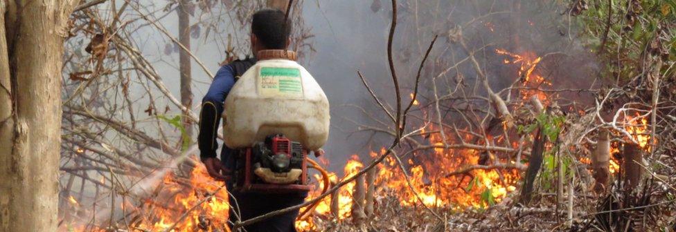 This handout photo taken on 25 September 2015 and released on 9 October 2015 by the Borneo Orangutan Survival Foundation shows a technician from the BOSF Samboja Lestari Orangutan Reintroduction Program trying to put out fire using a fertilizer sprayer filled with water in Samboja, in Indonesia's East Kalimantan.