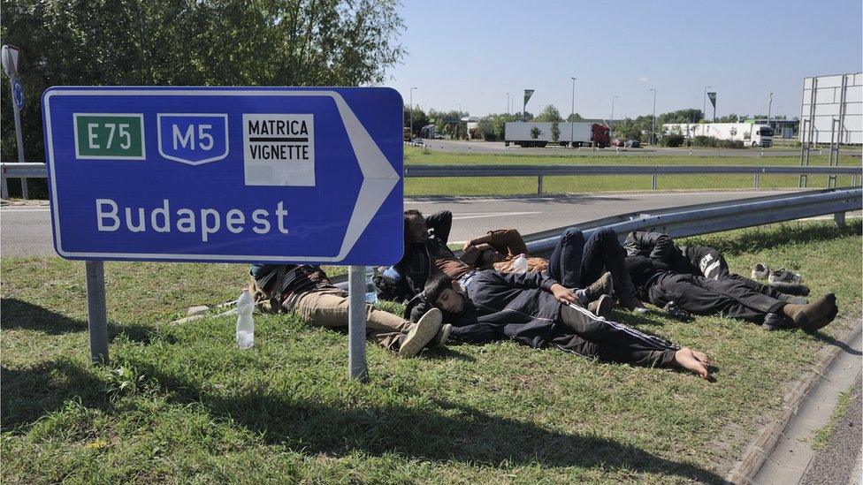 Migrants beside the M5 motorway near Roszke in Hungary